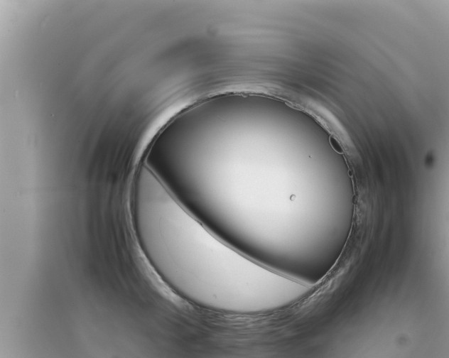 X0000095120804200712070942