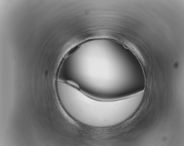 X0000095120805200712070942