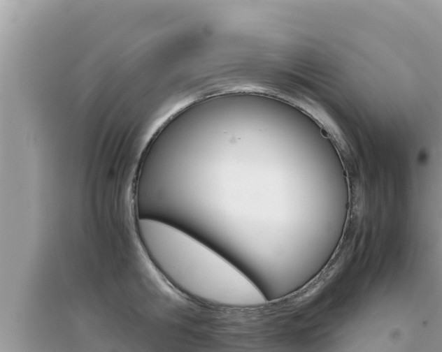 X0000095120806200712070942