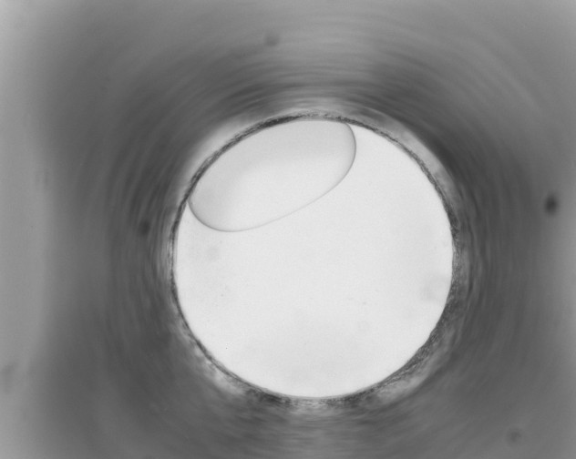 X0000095120807200712070942