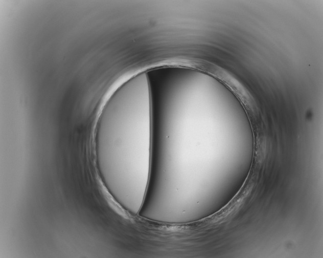 X0000095120808200712070942