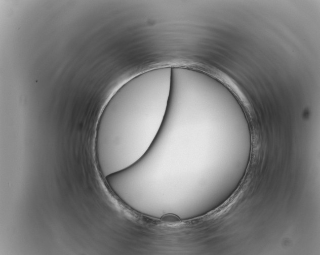 X0000095120810200712070942