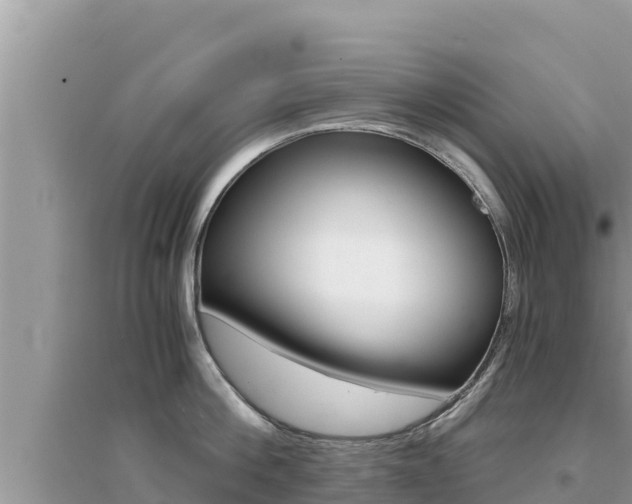 X0000095120812200712070942