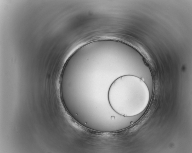 X0000095120814200712070942