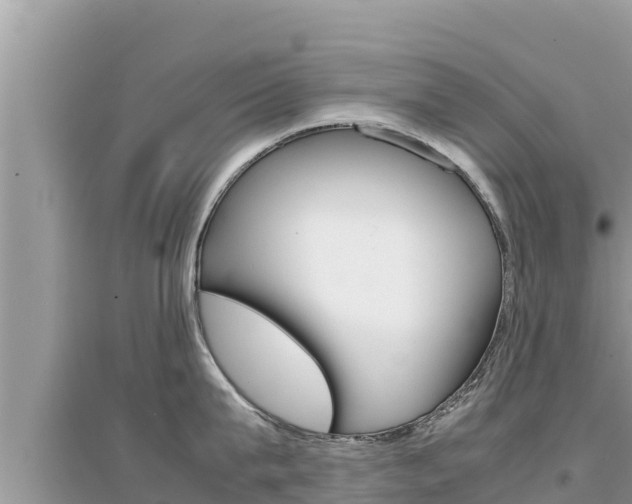 X0000095120815200712070942