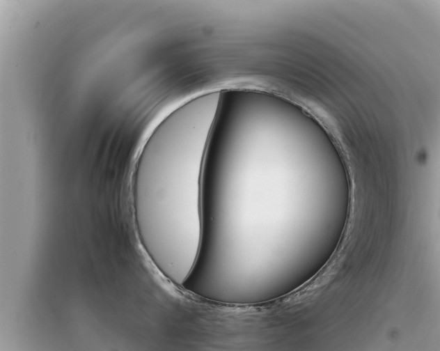X0000095120816200712070942