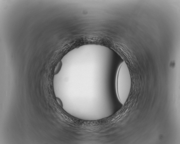 X0000095120817200712070941