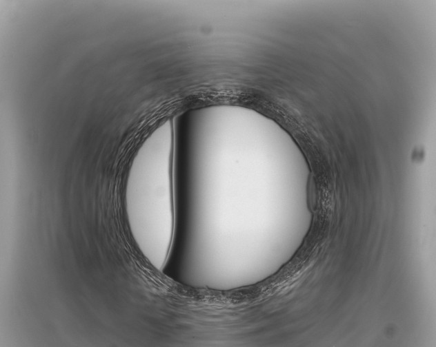 X0000095120818200712070941
