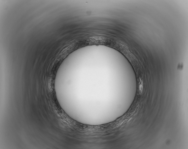 X0000095120819200712070941