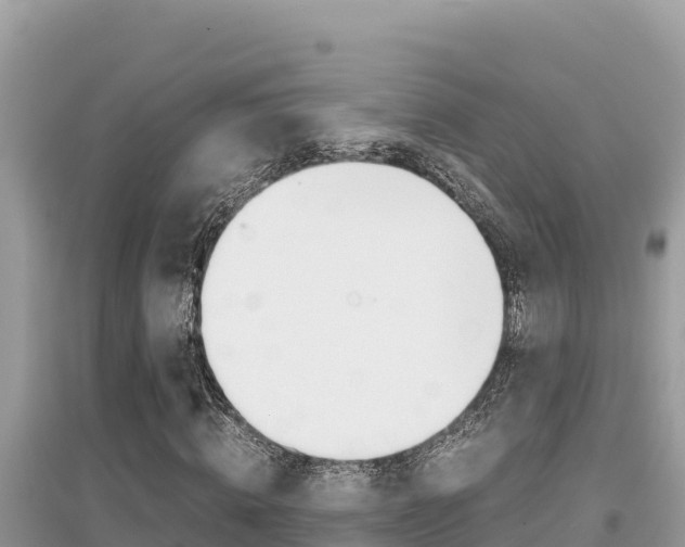 X0000095120820200712070941