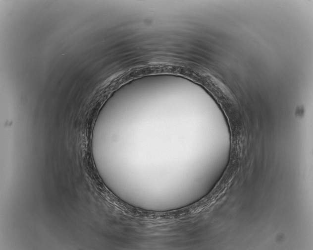 X0000095120821200712070941