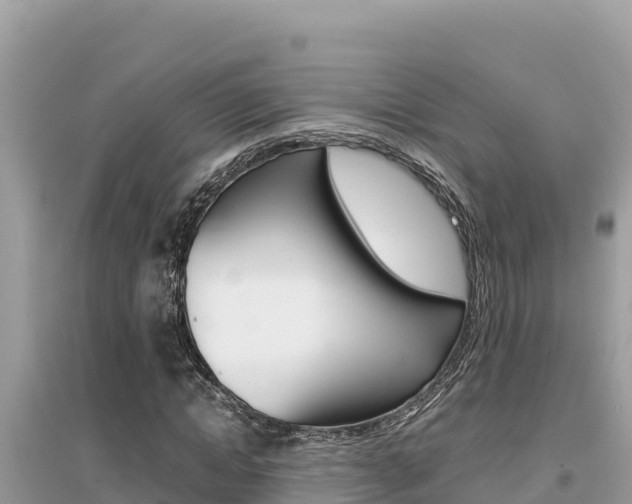 X0000095120822200712070941