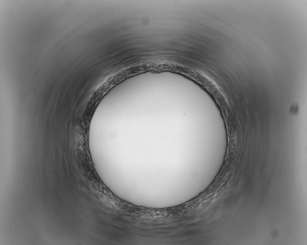 X0000095120823200712070941