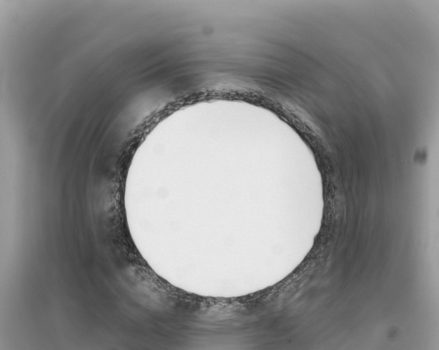 X0000095120824200712070941