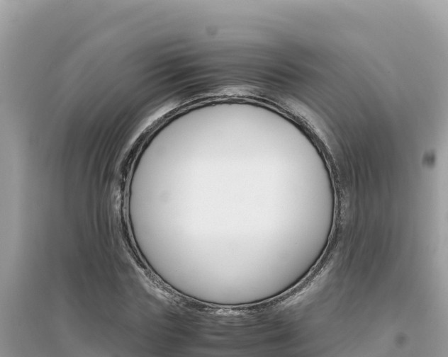 X0000095120827200712070941