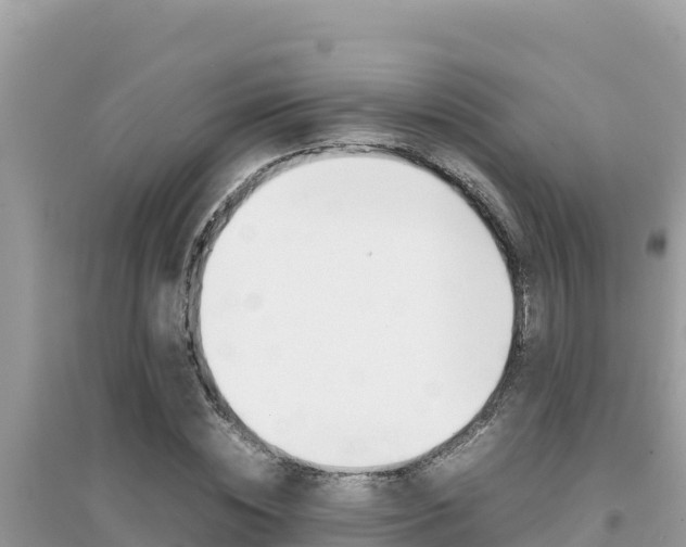X0000095120828200712070941