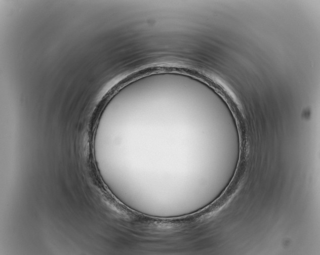 X0000095120829200712070941