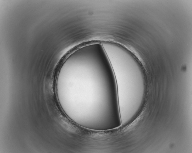 X0000095120830200712070941