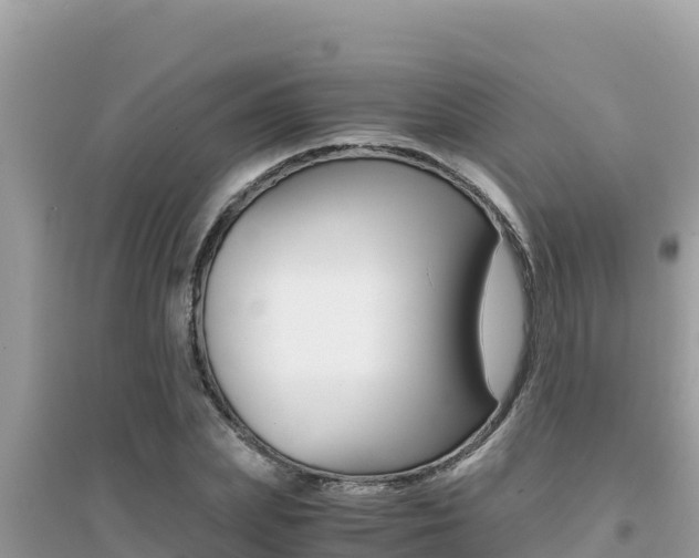 X0000095120831200712070941