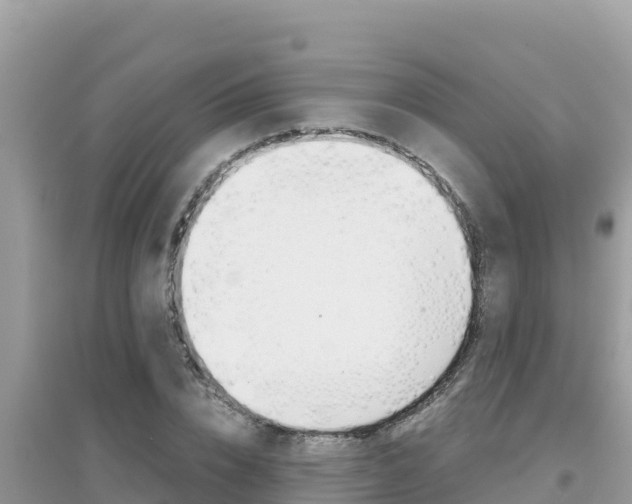 X0000095120832200712070941
