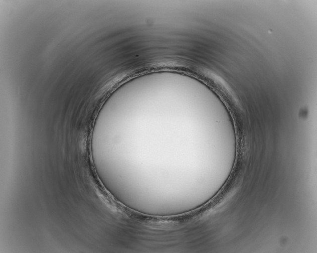 X0000095120833200712070941