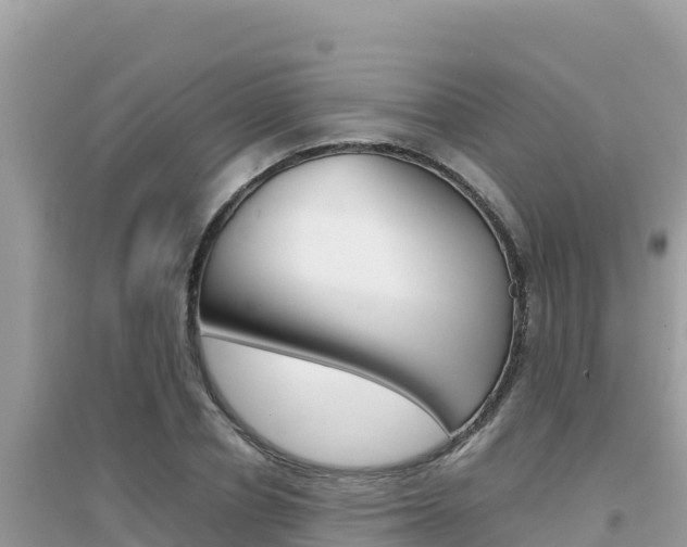 X0000095120834200712070941