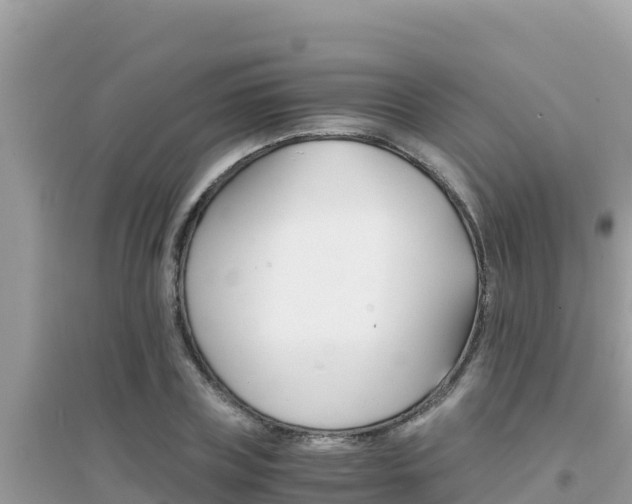 X0000095120835200712070941