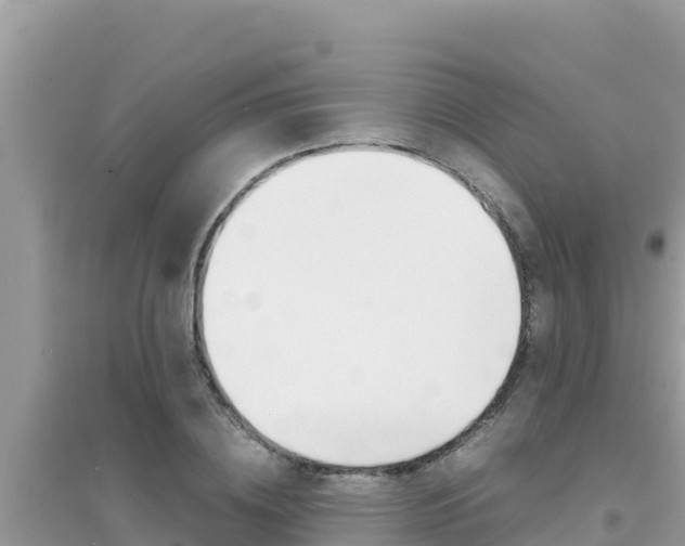 X0000095120836200712070941