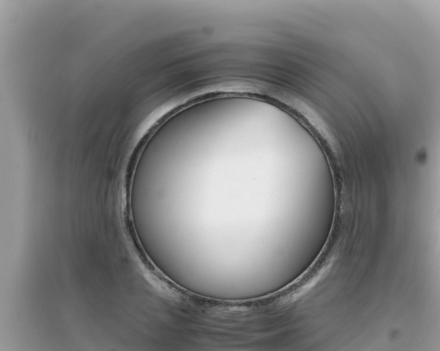 X0000095120837200712070941