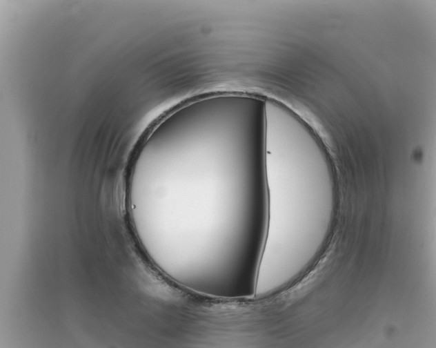 X0000095120838200712070941