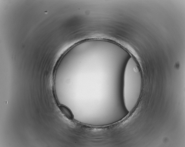 X0000095120839200712070941