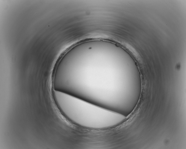 X0000095120840200712070941