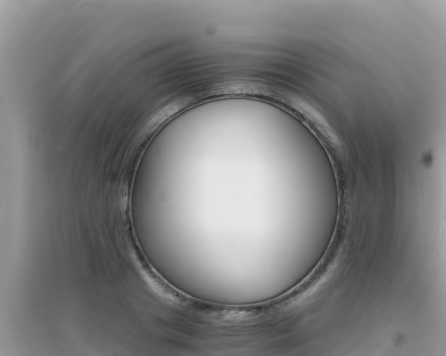 X0000095120841200712070941