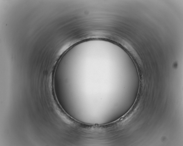 X0000095120842200712070941