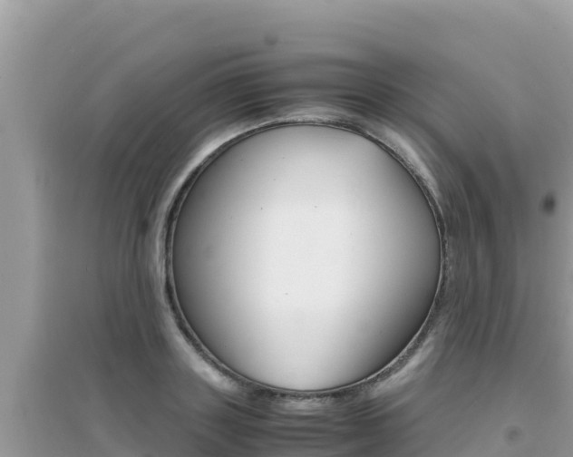 X0000095120843200712070941