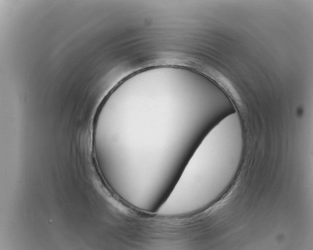 X0000095120844200712070941