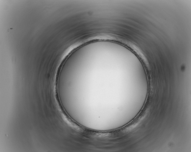 X0000095120845200712070941