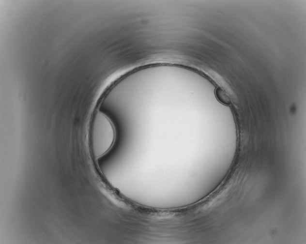 X0000095120846200712070941