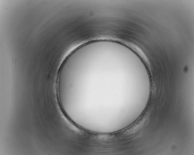 X0000095120847200712070941
