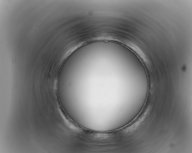 X0000095120849200712070941