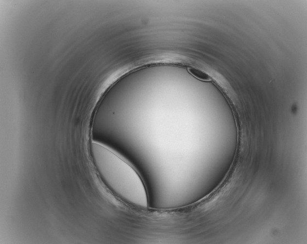 X0000095120850200712070941