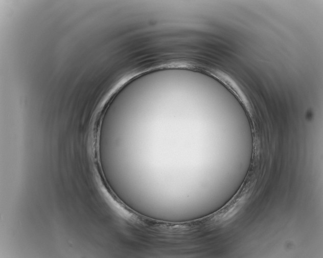 X0000095120851200712070941