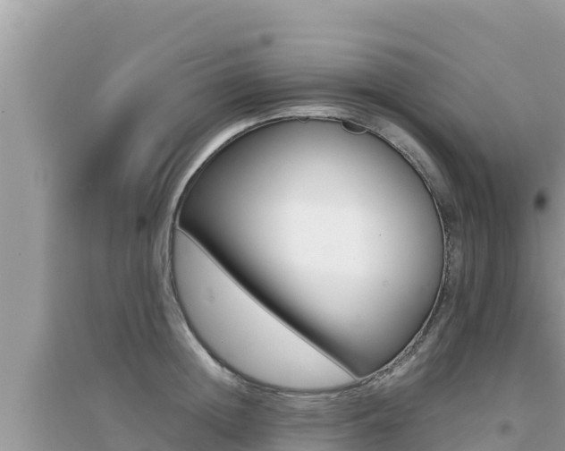 X0000095120852200712070941