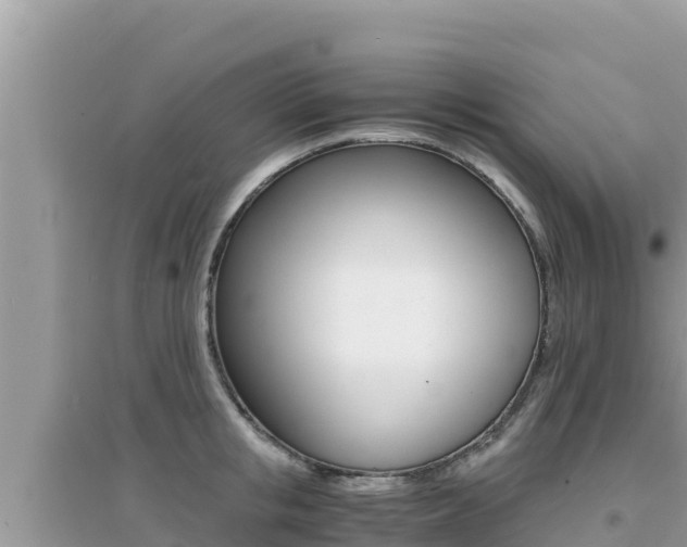 X0000095120853200712070941