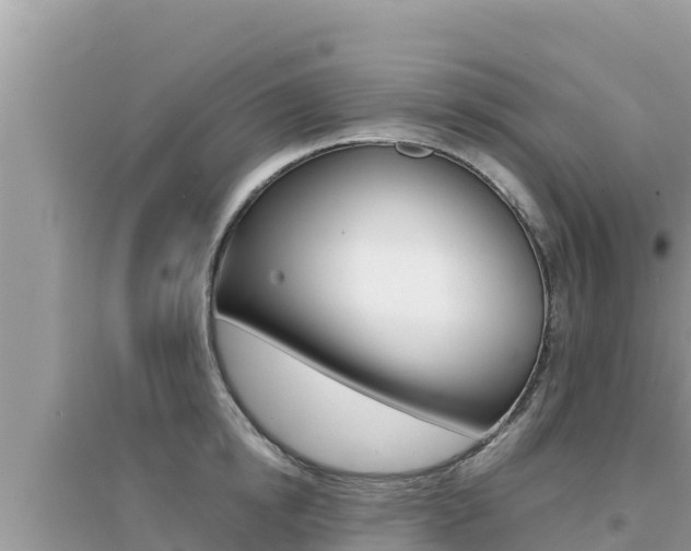 X0000095120854200712070942