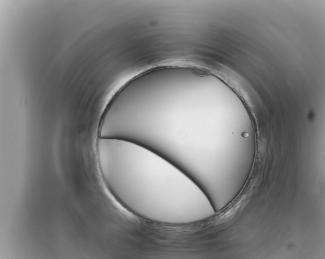 X0000095120855200712070942