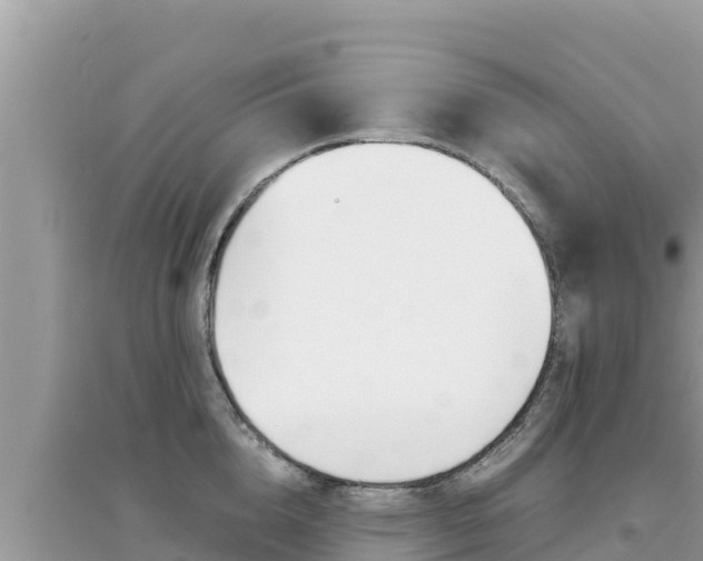 X0000095120856200712070942