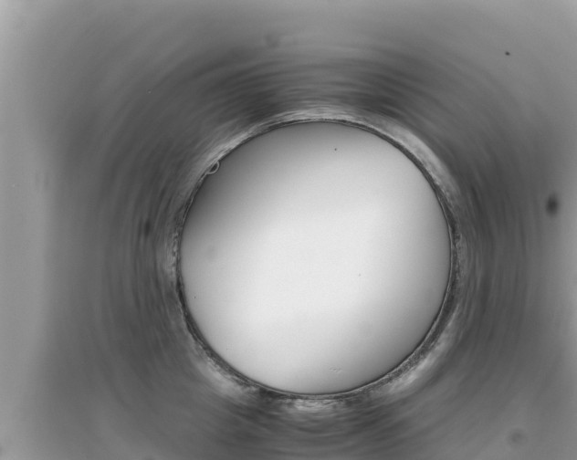 X0000095120857200712070942