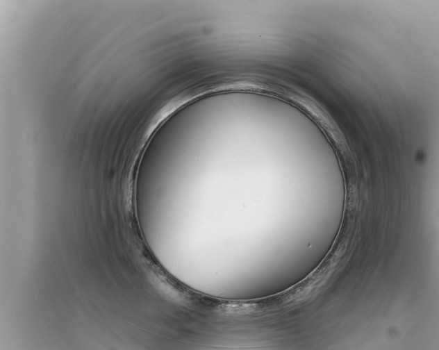 X0000095120858200712070942