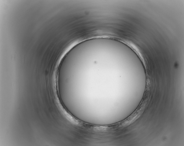 X0000095120859200712070942